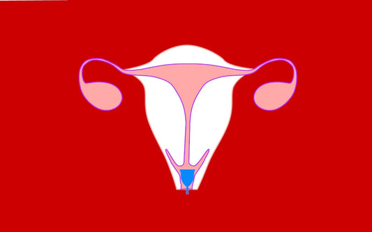 cervix-and-menstrual-cup