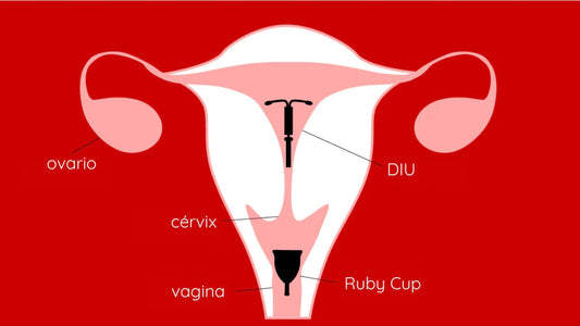 Guía para usar una copa menstrual con un DIU