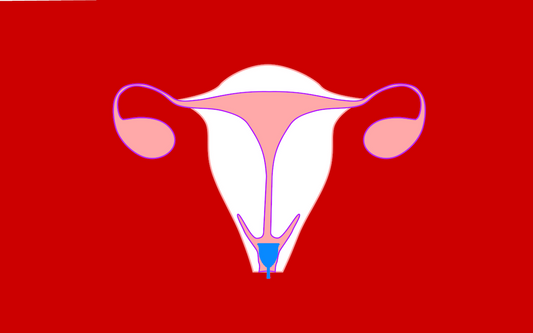 cervix-and-menstrual-cup