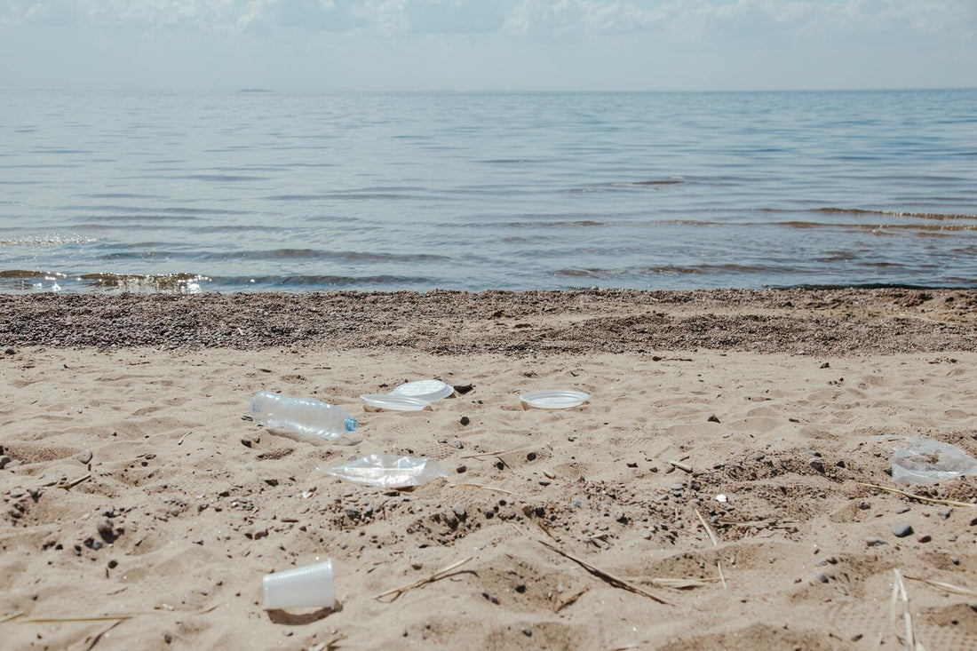 From World Oceans Day to Plastic-Free July: Taking Action