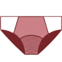 Icon Flow Freedom period panty Ruby Cup